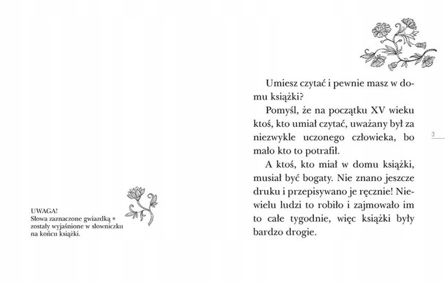 Tajemnica Nawojki. Czytam sobie. Poziom 3 Katarzyna Majgier, Nika Jaworowska-Duchlińska