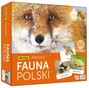 Fauna Polski