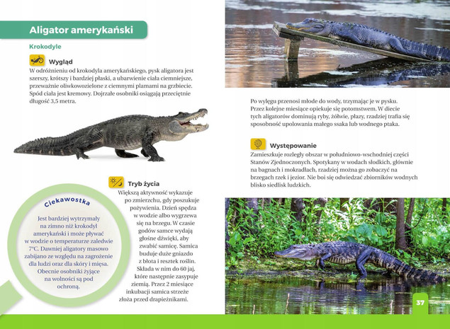 Jaki to gad? Atlas dla dzieci – Jacek Twardowski
