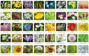 Memory FLORA POLSKI Gra Pamięciowa Dla Dzieci Pamięć 5+ Adamigo 7851