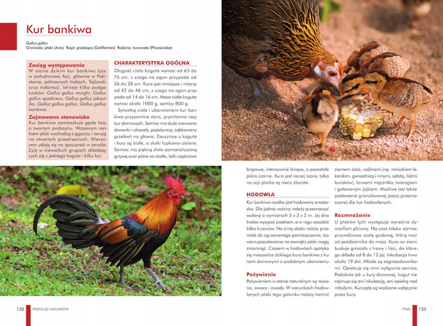 Atlas ZWIERZĄT DOMOWYCH Zwyczaje Wygląd Potrzeby Wymagania SBM