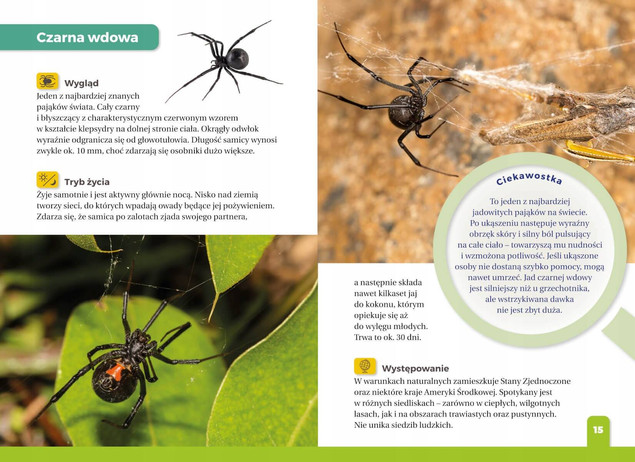 Zestaw książek o pająkach dla dzieci: Jaki to pająk? i Atlas hodowlany