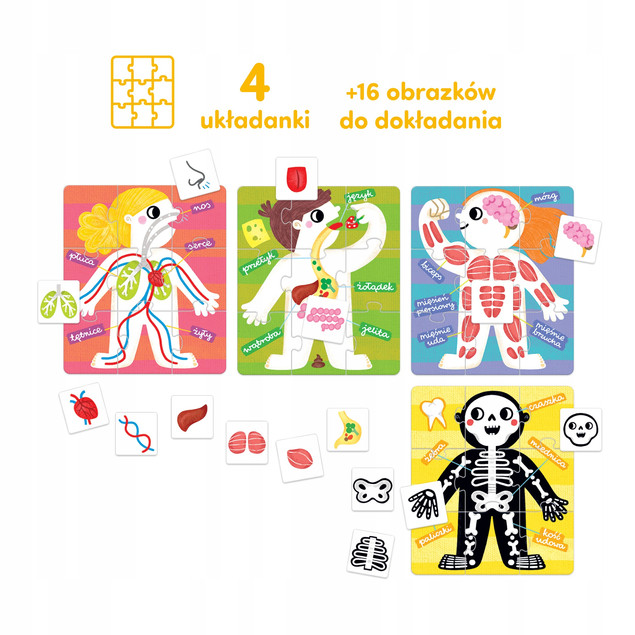 CzuCzu Puzzle i Gra 'Moje Ciało' 3+ (36 el.) - Edukacja i Zabawa