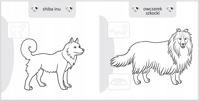 Malowanie-doklejanie. Pieski