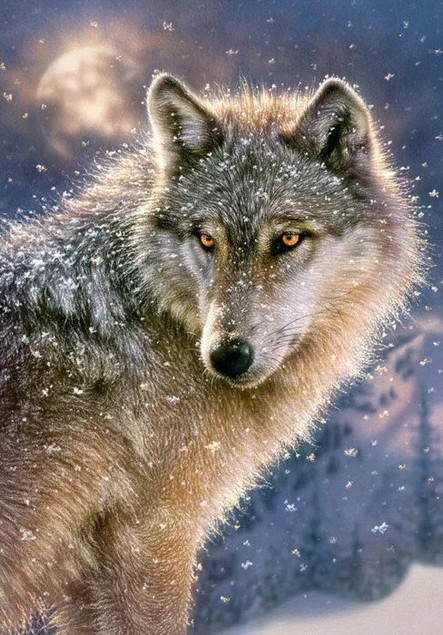 Puzzle 500 Samotny wilk CASTOR