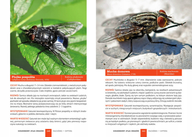 Kieszonkowy Atlas OWADÓW 180 Gatunków Jacek Kamila Twardowscy SBM