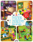 Tydzień z zającem? Jasne jak słońce! Norman Klaar