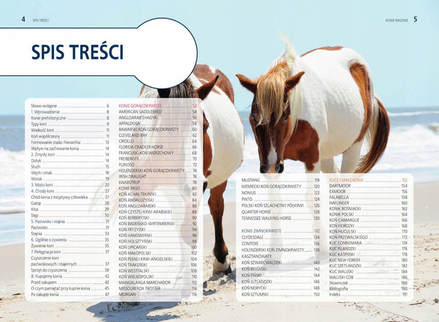 Konie Rasowe Opieka Akcesoria Rasy Poradnik Justyna Felgenau SBM