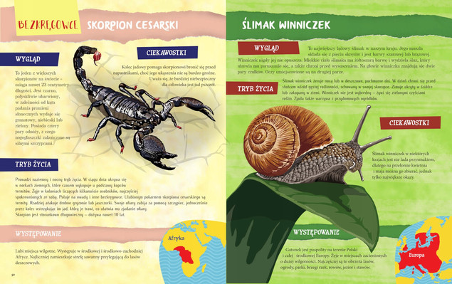 Atlas ZWIERZĄT Dla Dzieci Jacek Twardowski 6+ SBM