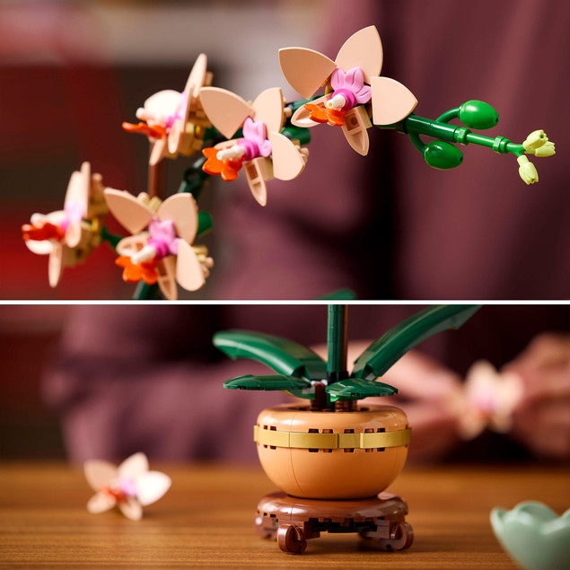 LEGO® Botanicals 10343 Miniaturowa Orchidea