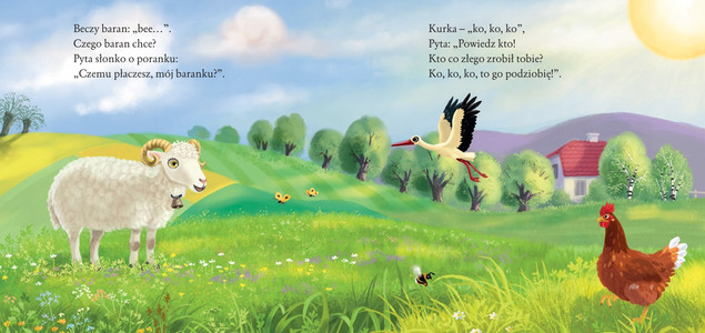 Baranek