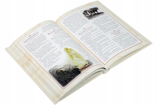 Biblia na każdy dzień 365 historii ze Starego i Nowego Testamentu Praca zbiorowa