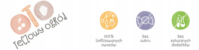 Liofilizowane Owoce w Kawałkach Borówka Morela Ananas Malina 20g Otolandia
