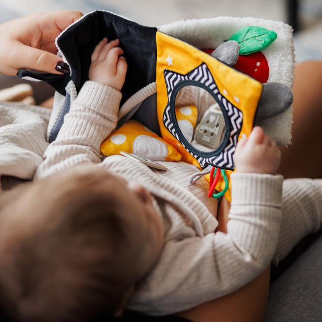 Książeczka Sensoryczna Kontrastowa Miękka z Gryzakiem Babyono 1679