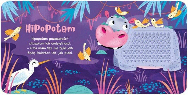 Na safari. Poznaj i dotknij. Książeczka sensoryczna