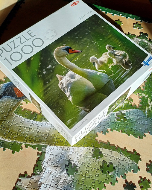 Puzzle 1000 TACTIC Lovers: Łabędź na Jeziorze z Dziećmi