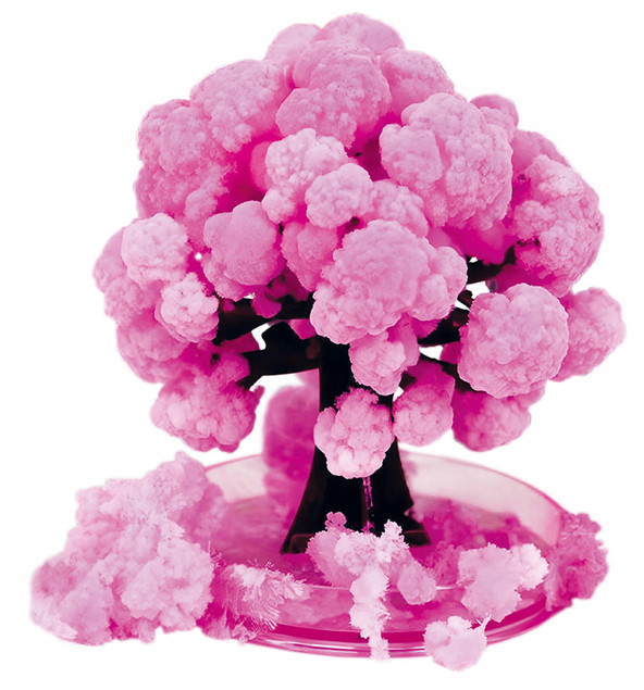 Drzewko kwitnące Sakura – Kidea