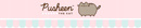 TECZKA Z GUMKĄ A4 300 g/m2 KOT PUSHEEN