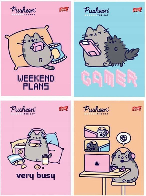 4x Zeszyt Szkolny A5 32k Kratka PUSHEEN Kot Kotek Unipap