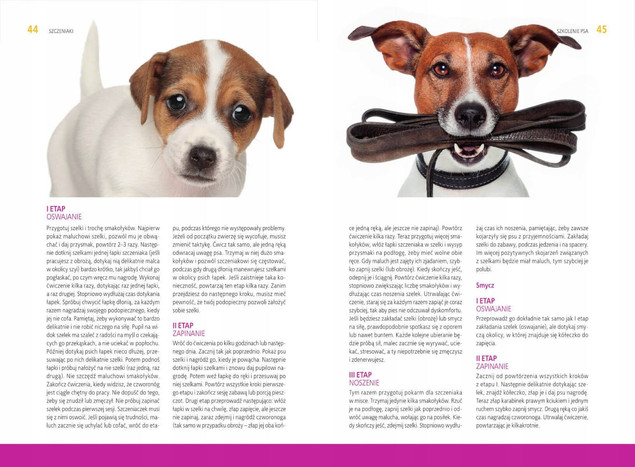 SZKOLENIE PSA Jak Wychować Idealnego Pupila Anna Iglikowska SBM