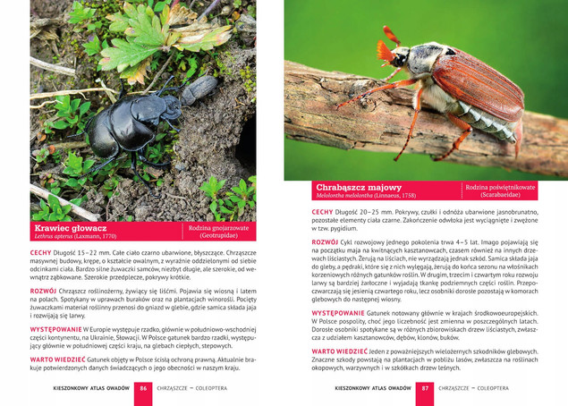 Kieszonkowy Atlas OWADÓW 180 Gatunków Jacek Kamila Twardowscy SBM