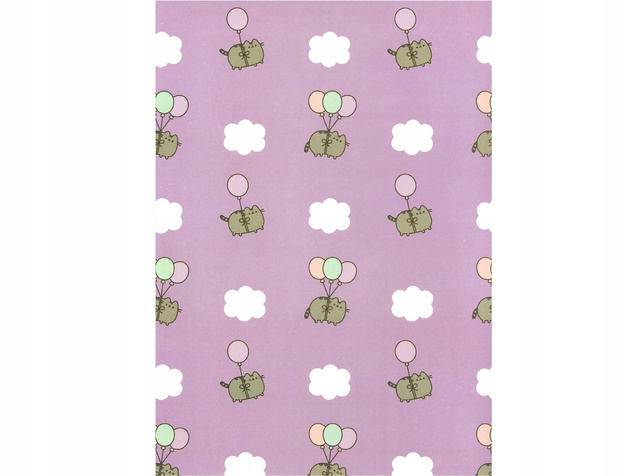 TECZKA Z GUMKĄ A4 300 g/m2 KOT PUSHEEN