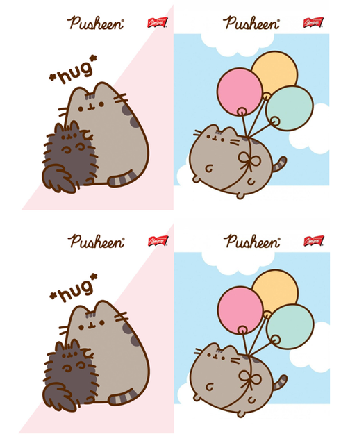 Zestaw 4 zeszytów A5 w trzy linie (kolorowa) 32 kartki UNIPAP Pusheen