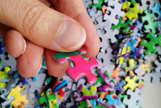 Puzzle Tactic 500 el. Rainbow Butterflies – Tęczowe Motyle