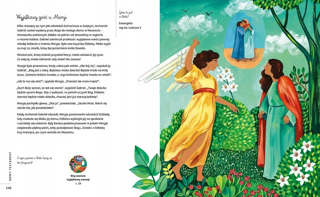 Biblia Stary i Nowy Testament ilustracje