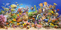 Puzzle 4000 Układanka Ocean ORGANIZMY MORSKIE Ryby Woda Kolor 9+ Castorland