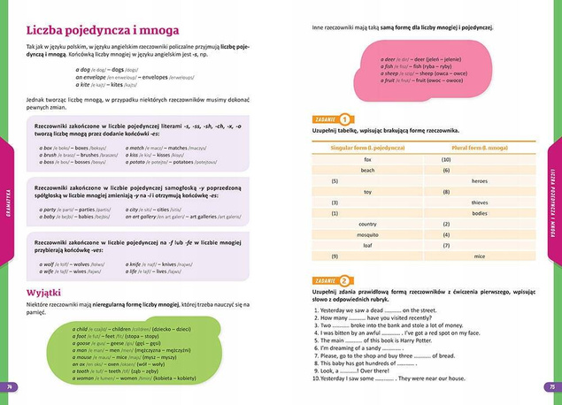 Repetytorium Szkoła Podstawowa Język Angielski r. 2024 Greg