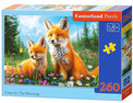Puzzle Castorland 260 elementów. Lisy o poranku