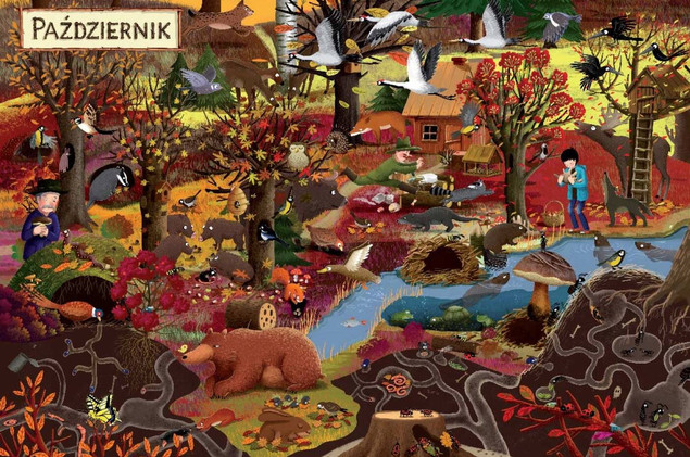 Rok W Lesie Książeczka Dla Dzieci Emilia Dziubak 0+ Nasza Księgarnia