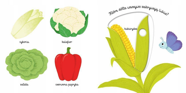 Pierwsze Słowa Warzywa Akademia Mądrego Dziecka N. Choux 0+ HarperKids
