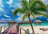 PUZZLE 1000 UFT PLAŻA PALMY OCEAN BORA BORA MOST TREFL