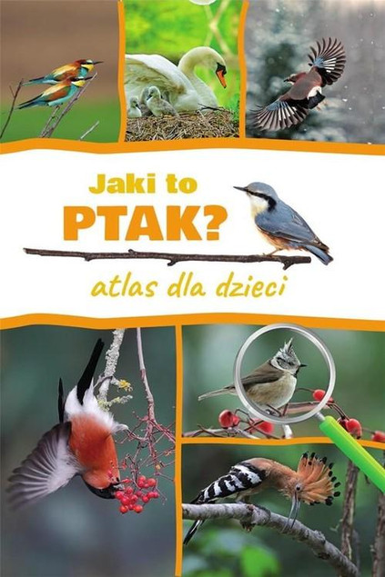 Jaki to ptak? Atlas dla Dzieci Dominik Marchowski | Książka Przyroda