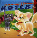 Kotek Izabela Jędraszek