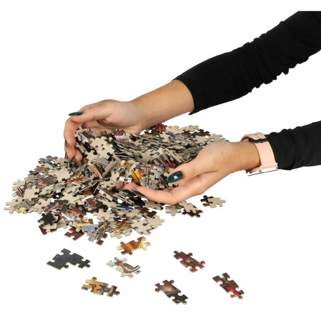 Puzzle 500 Układanka Kwiaty HERBATA Widok Książki Obraz 9+ Castorland