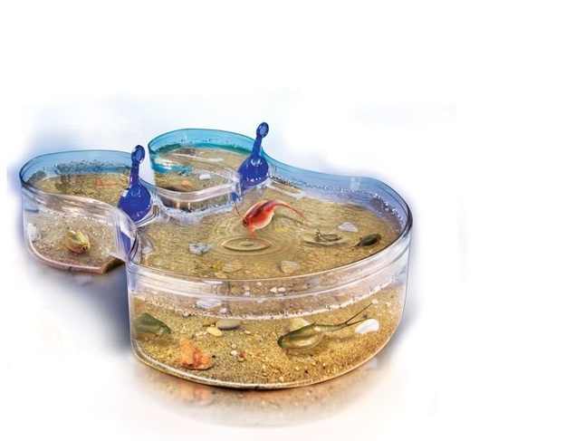Triops Hodowla Skorupiaków Akwarium 60252