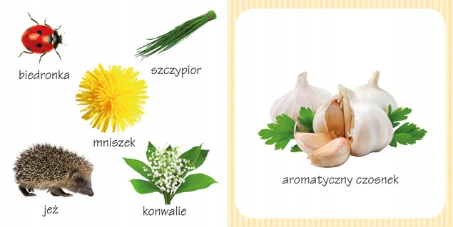 Co tak pachnie? Ogród w akcji