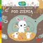 Pod ziemią