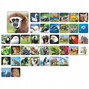 Gra Memory Zoo Pamięciowa Dla Dzieci Pamięć 5+ Adamigo