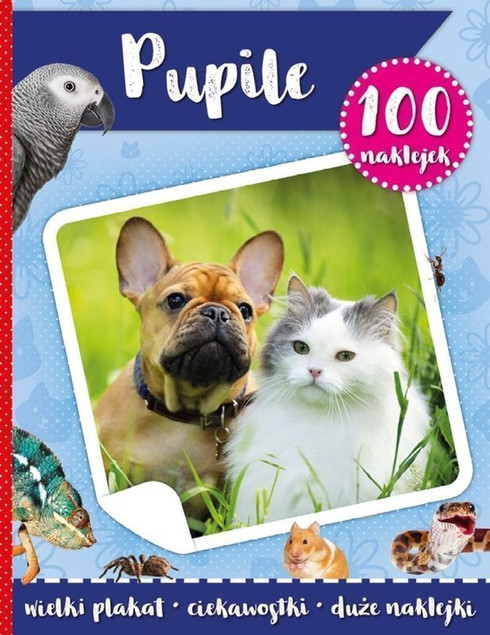 100 naklejek z plakatem. Pupile Praca zbiorowa