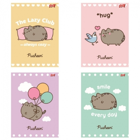 Zeszyt A5 32 Kartki Linkia podwójna Kolor w Trzylinie Kotek Pusheen