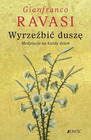 Wyrzeźbić duszę Medytacje na każdy dzień Gianfranco Ravasi