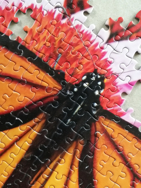 Puzzle Tactic 1000 el. Monarch Butterfly - Motyl Monarcha, Fińska Jakość
