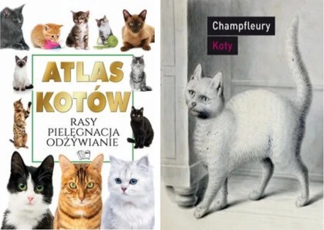 Atlas kotów rasy pielęgnacja odżywianie