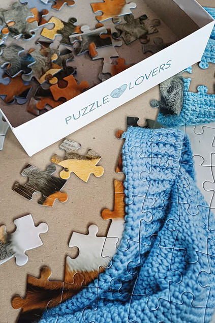 Puzzle 100 el. Tactic Słodki Kiciuś i Śpiący Piesek