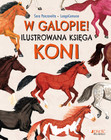W galopie! Ilustrowana księga koni Sara Panzavolta