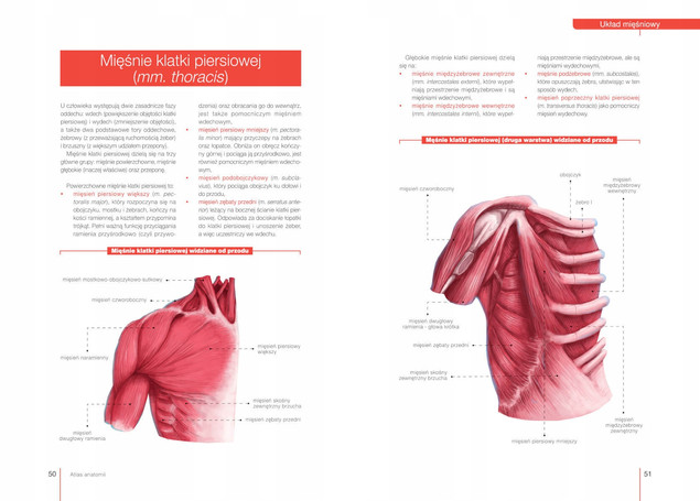 Atlas ANATOMI Budowa i Funkcjonowanie Justyna Mazurek SBM